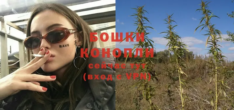 продажа наркотиков  Будённовск  мега как войти  Конопля OG Kush 